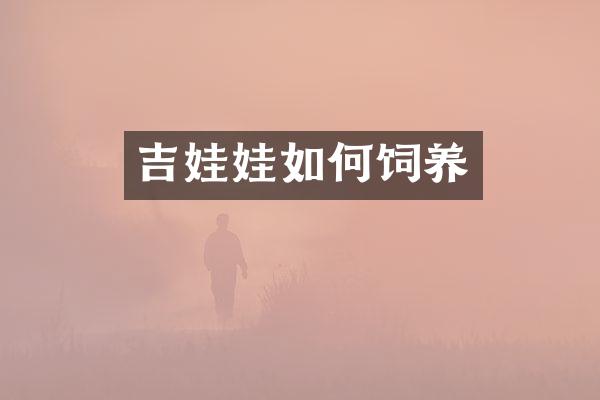 吉娃娃如何饲养