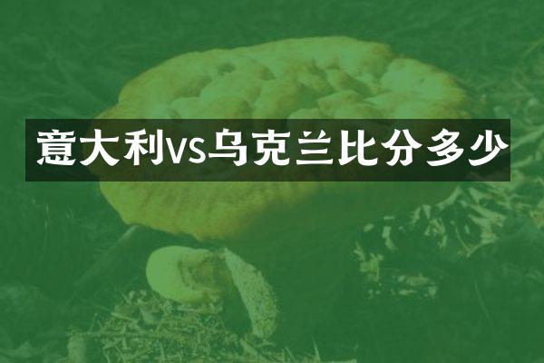 意大利vs乌克兰比分多少