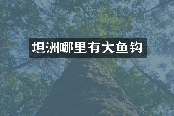 坦洲哪里有大鱼钩