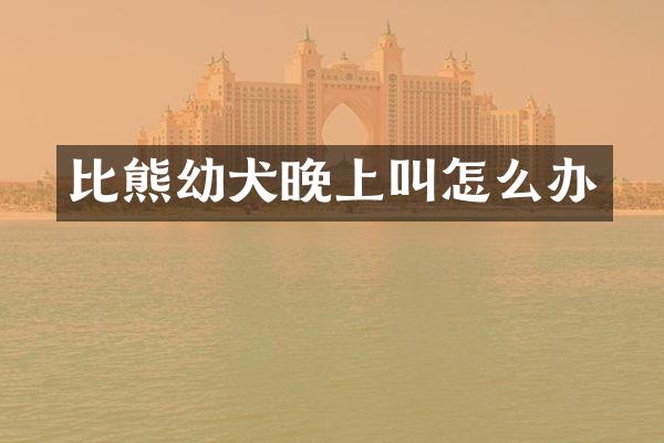 比熊幼犬晚上叫怎么办