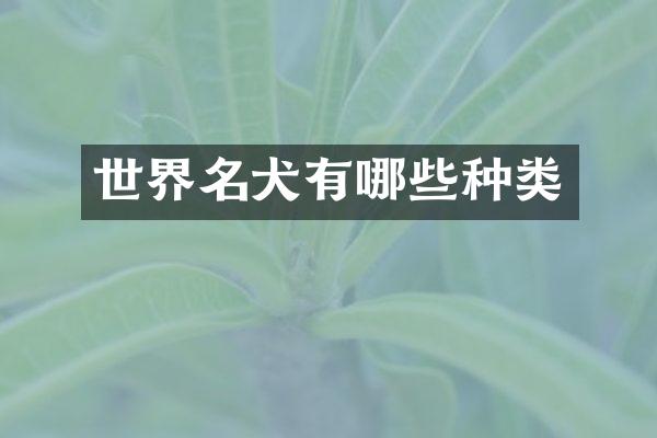 世界名犬有哪些种类