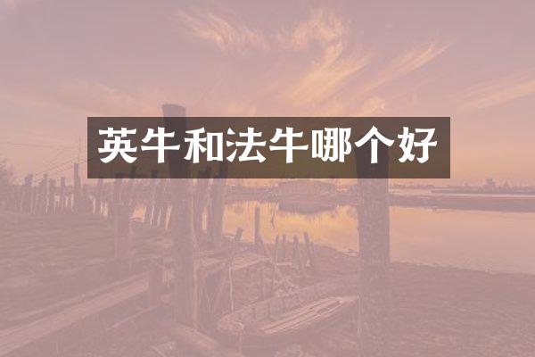 英牛和法牛哪个好