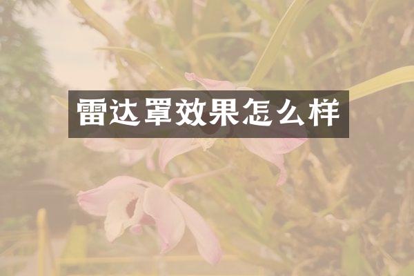 雷达罩效果怎么样