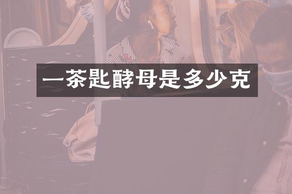 一茶匙酵母是多少克