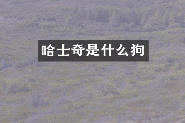 哈士奇是什么狗