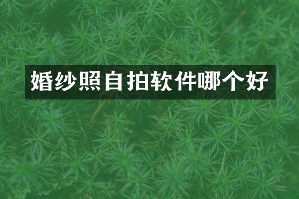 婚纱照自拍软件哪个好