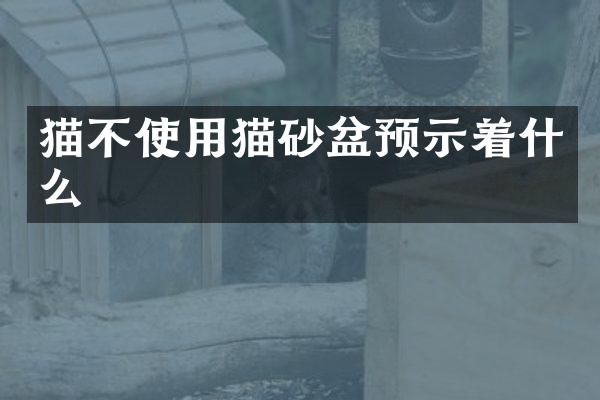 猫不使用猫砂盆预示着什么