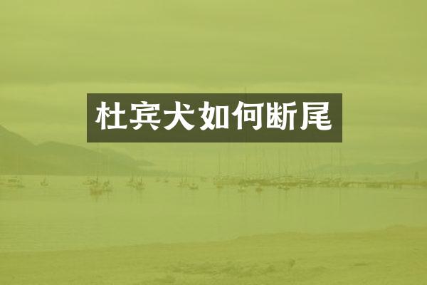 杜宾犬如何断尾