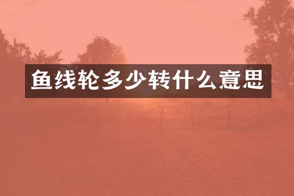 鱼线轮多少转什么意思