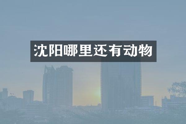 沈阳哪里还有动物