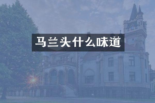 马兰头什么味道