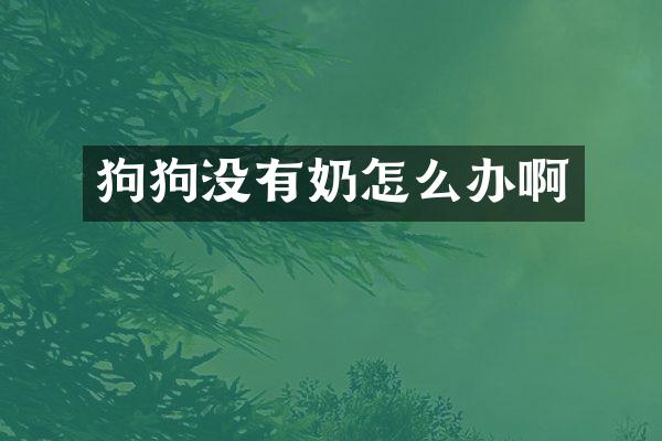 狗狗没有奶怎么办啊
