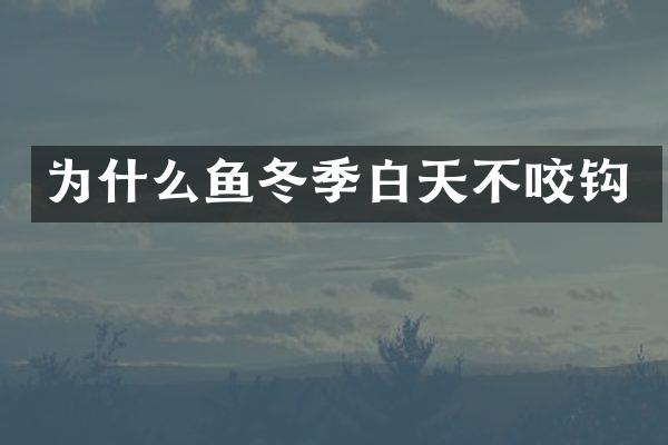 为什么鱼冬季白天不咬钩