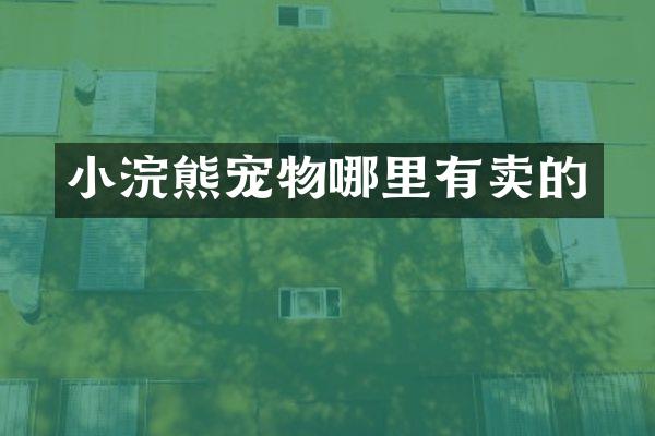 小浣熊宠物哪里有卖的