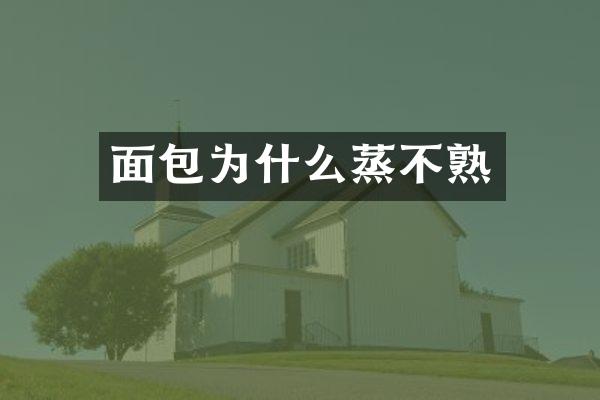 面包为什么蒸不熟