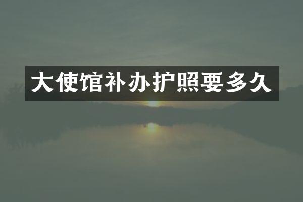 大使馆补办护照要多久