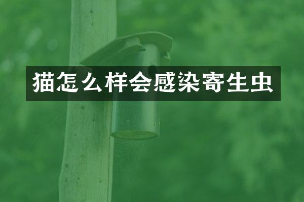 猫怎么样会感染寄生虫