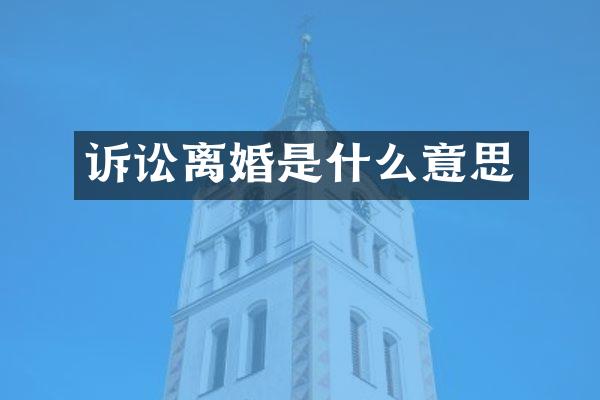 诉讼离婚是什么意思