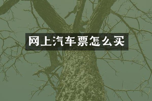 网上汽车票怎么买