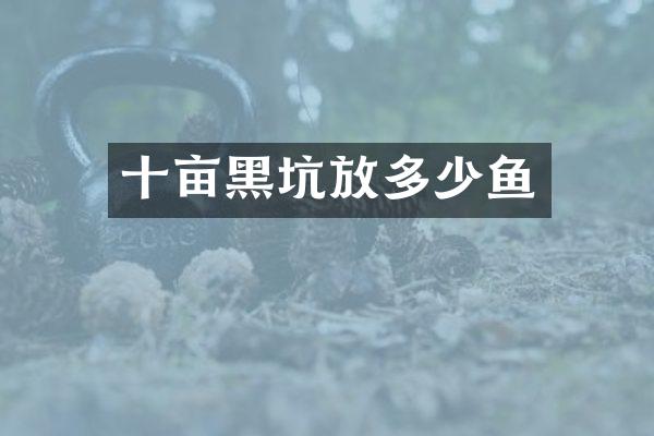 十亩黑坑放多少鱼