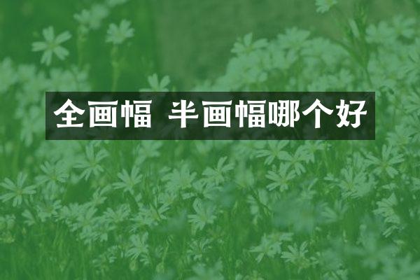 全画幅 半画幅哪个好