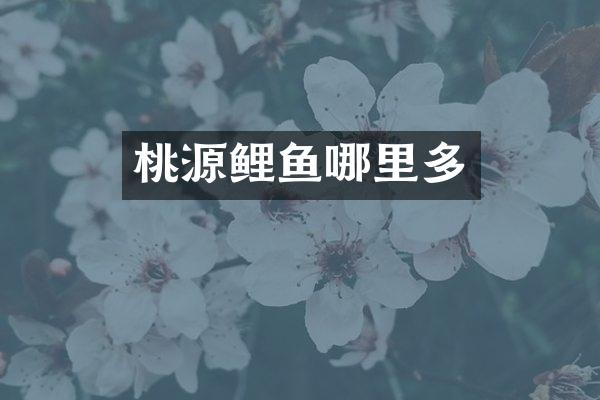 桃源鲤鱼哪里多