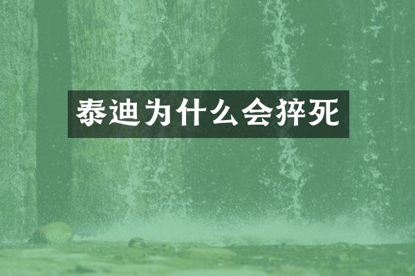泰迪为什么会猝死