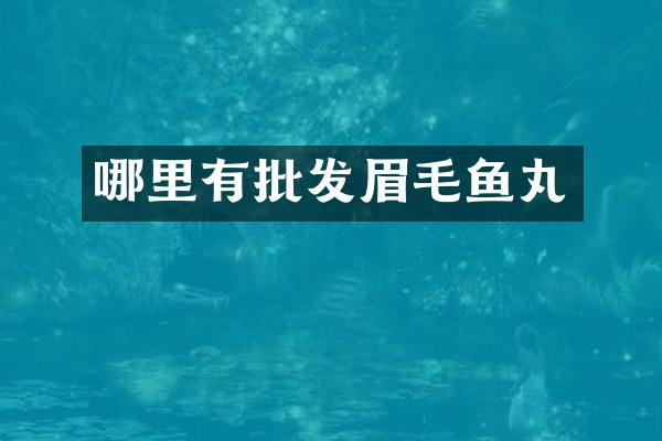 哪里有批发眉毛鱼丸