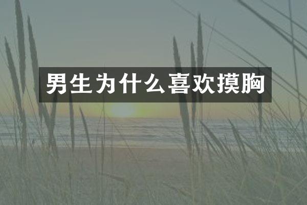 男生为什么喜欢