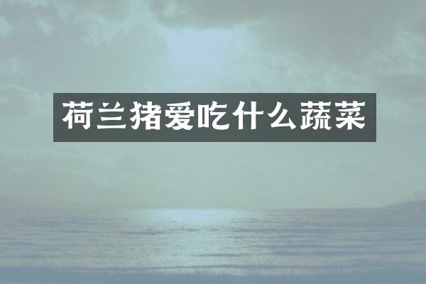 荷兰猪爱吃什么蔬菜