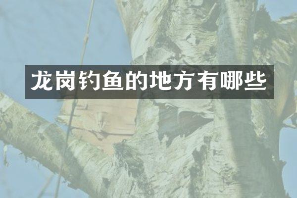 龙岗钓鱼的地方有哪些