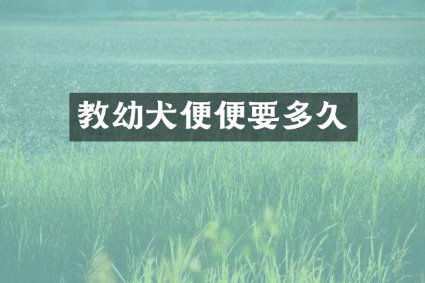 教幼犬便便要多久