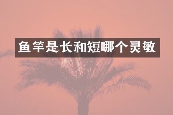 鱼竿是长和短哪个灵敏