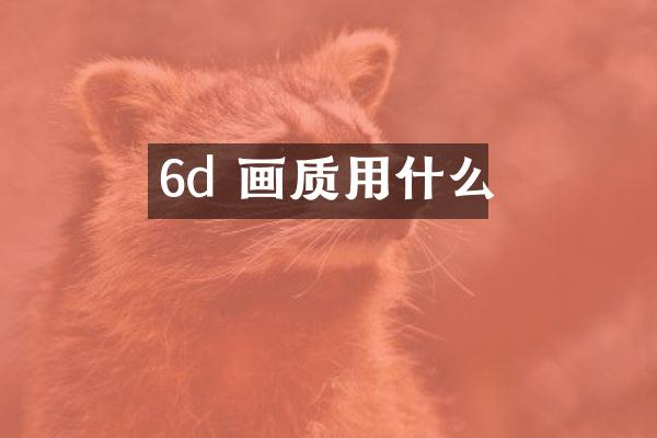 6d 画质用什么