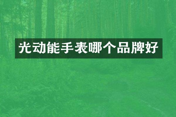 光动能手表哪个品牌好