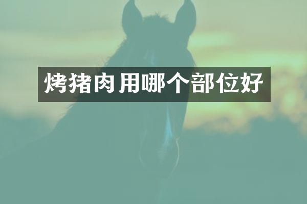 烤猪肉用哪个部位好