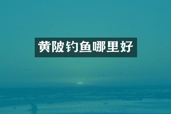 黄陂钓鱼哪里好