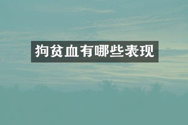 狗贫血有哪些表现