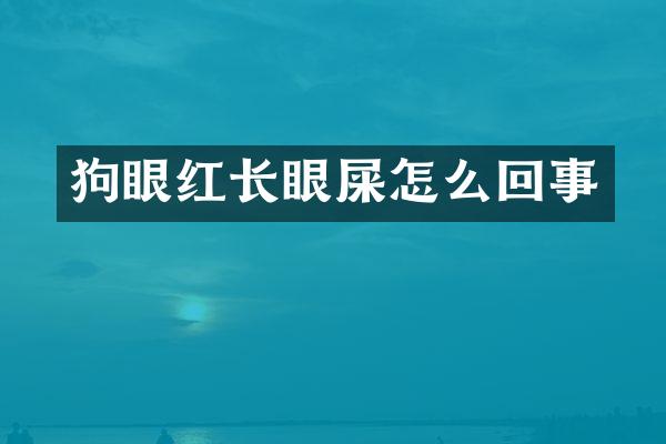 狗眼红长眼屎怎么回事