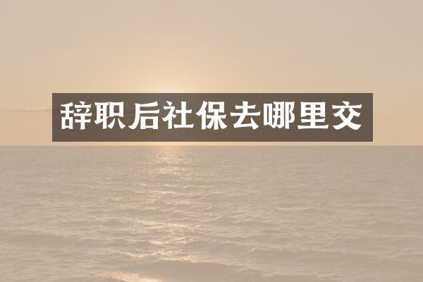 辞职后社保去哪里交