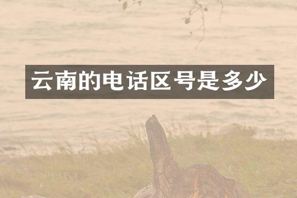 云南的电话区号是多少