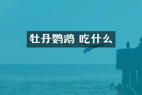 牡丹鹦鹉 吃什么