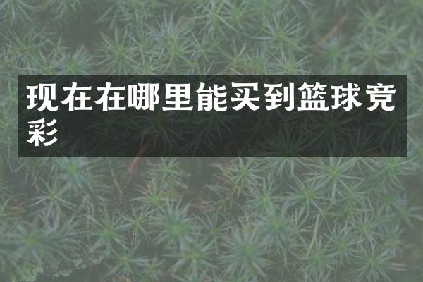 现在在哪里能买到篮球竞彩