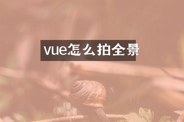 vue怎么拍全景