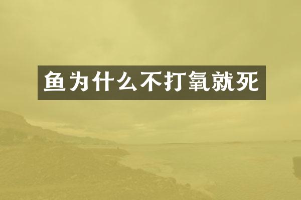鱼为什么不打氧就死