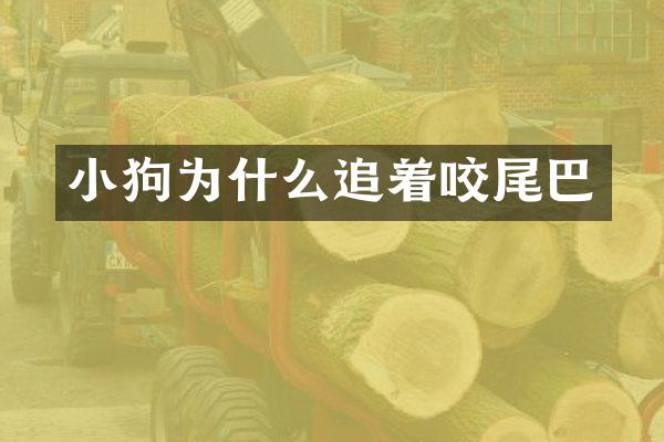 小狗为什么追着咬尾巴