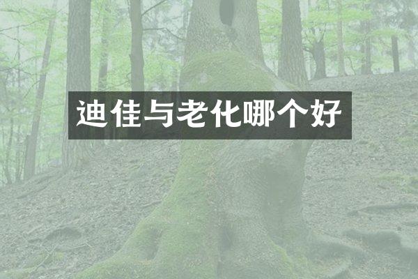 迪佳与老化哪个好