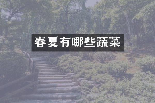春夏有哪些蔬菜