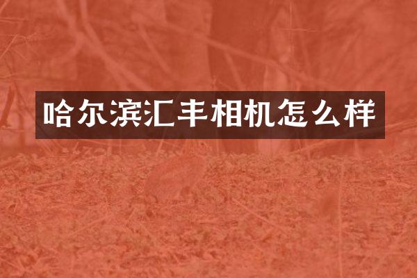 哈尔滨汇丰相机怎么样