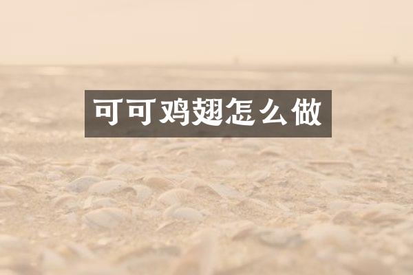 可可鸡翅怎么做